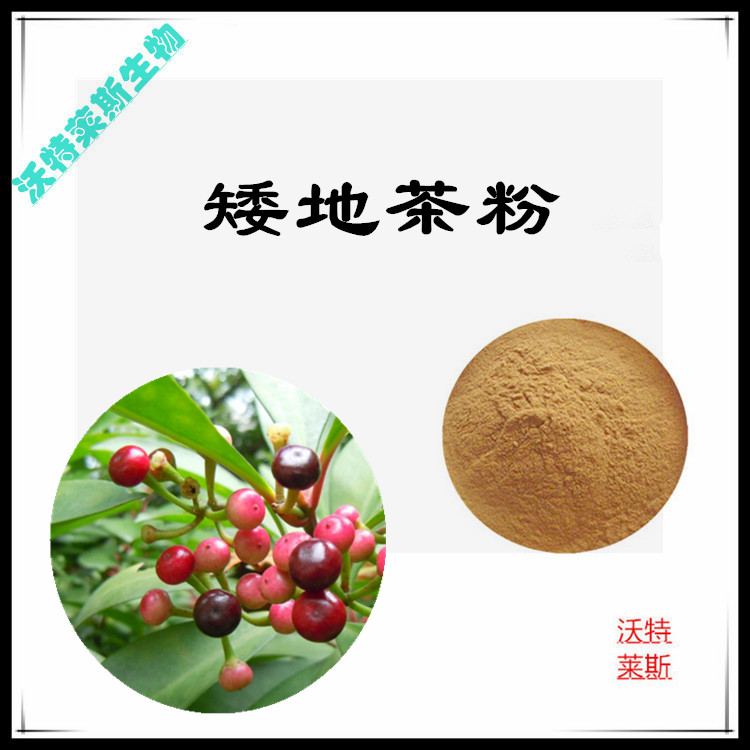 矮地茶提取物 10:1 水提 矮地茶水溶粉 矮地茶浓缩粉 5倍
