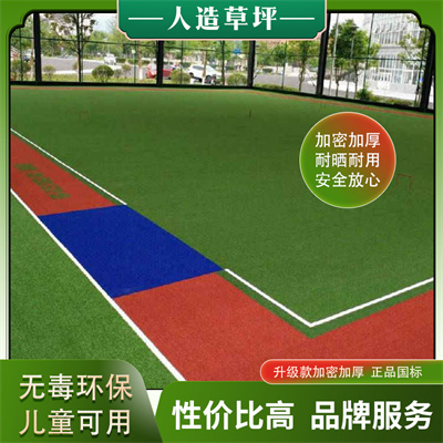 景观人造草坪价钱-物美价廉-草坪美丽环保