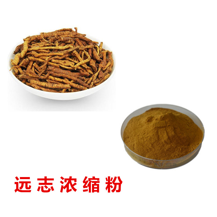 远志提取物 远志浓缩粉 棕色粉末 可制粒 斯诺特生物