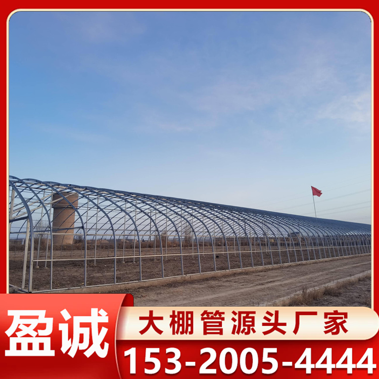 全钢架日光温室 现代农业 农用高温大棚 大棚圆管 蔬菜种植温室