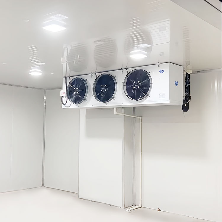 成都速冻冷藏保鲜库 冻库厂家 凌锐成都移动冷冻库