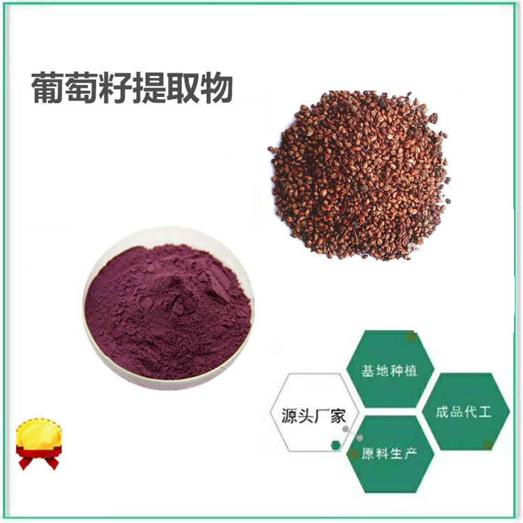 葡萄籽提取物 10：1浓缩 UV检测 支持定制  可提供样品