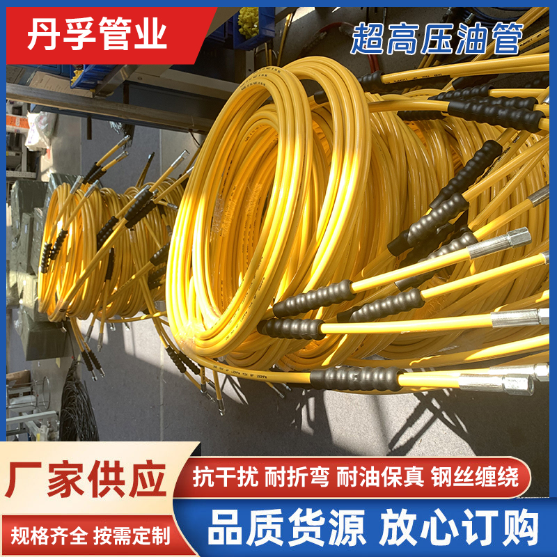 丹孚 螺栓拉伸器液压油管定制 超高压尼龙树脂软管总成