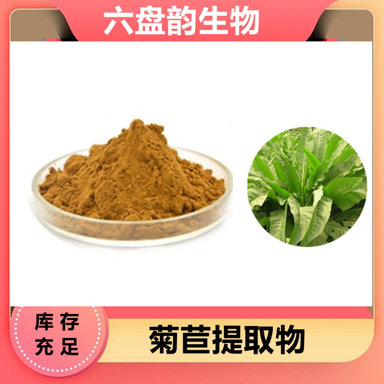 菊苣提取物  粉质细腻 无杂质 流动性好 水溶性好 含税运 食品原料粉