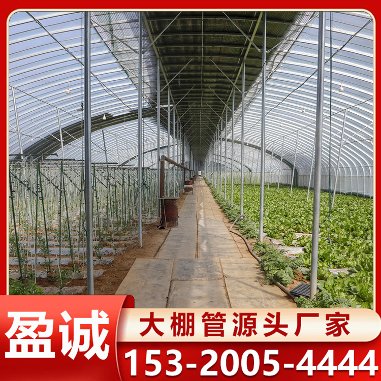 种植蔬菜大棚 新农业无土栽培 大棚管定制 抗风防雪