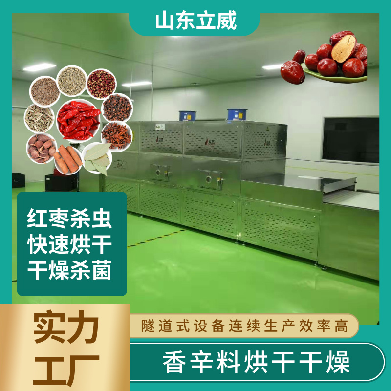 微波红枣杀虫卵机器快速低温杀虫灭菌