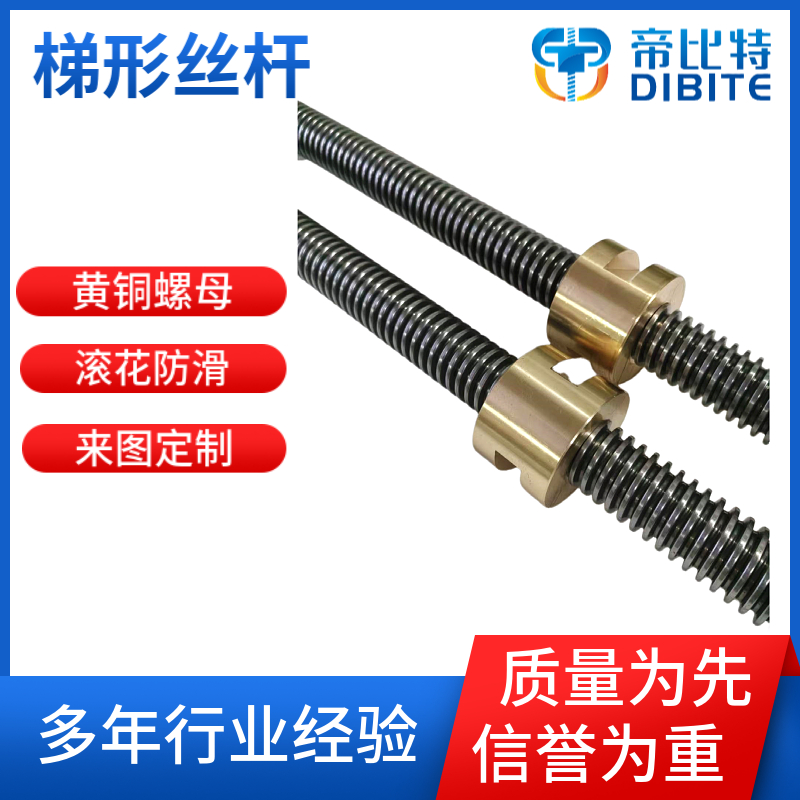帝比特 TR32*6 TR36*6 TR40*6梯形丝杆配铜螺母 支持定制