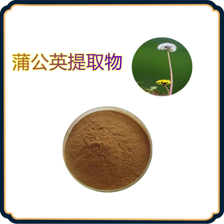 蒲公英提取物 含多种营养成分 固体饮料  三遍水提  无结块  植物原料