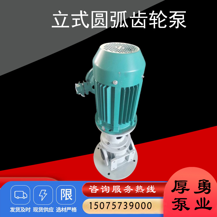 立式齿轮油泵 重油泵 立式圆弧齿轮泵 船用齿轮泵 生产加工