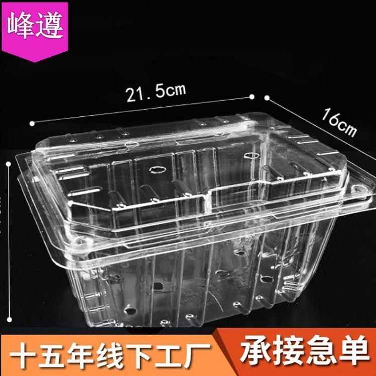 一次性水果盒pet透明塑料盒500g装现货草莓西瓜水果包装盒批