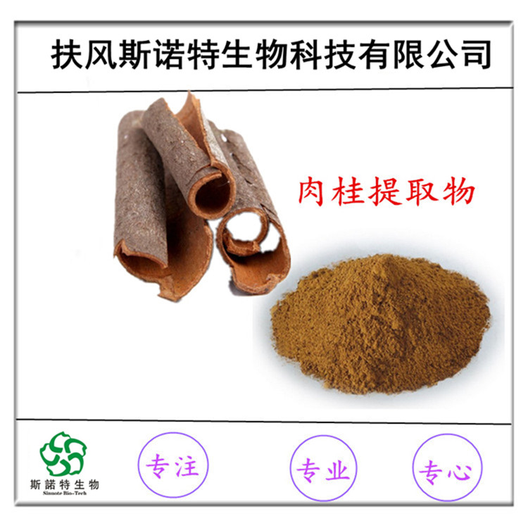 肉桂提取物 棕色粉末 含肉桂多酚 规格全 附检测报告