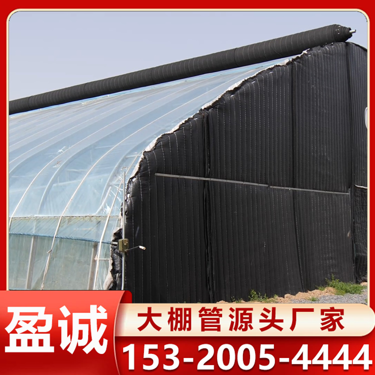 阳光板温室 农业生态种植棚 搭建成本低 耐腐蚀 支持加工定制