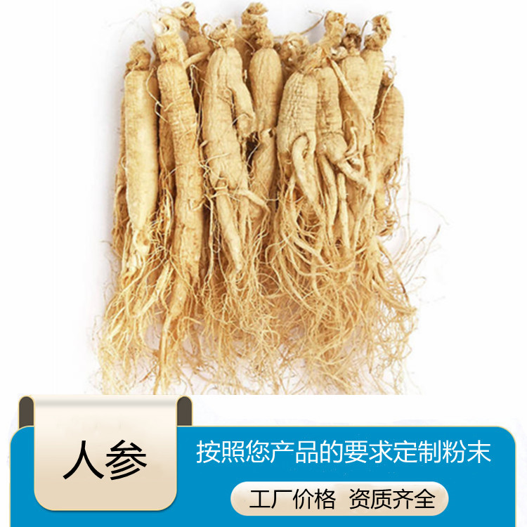 斯诺特生物 人参提取液 人工种植 水浓缩熬煮 可定制人参粉