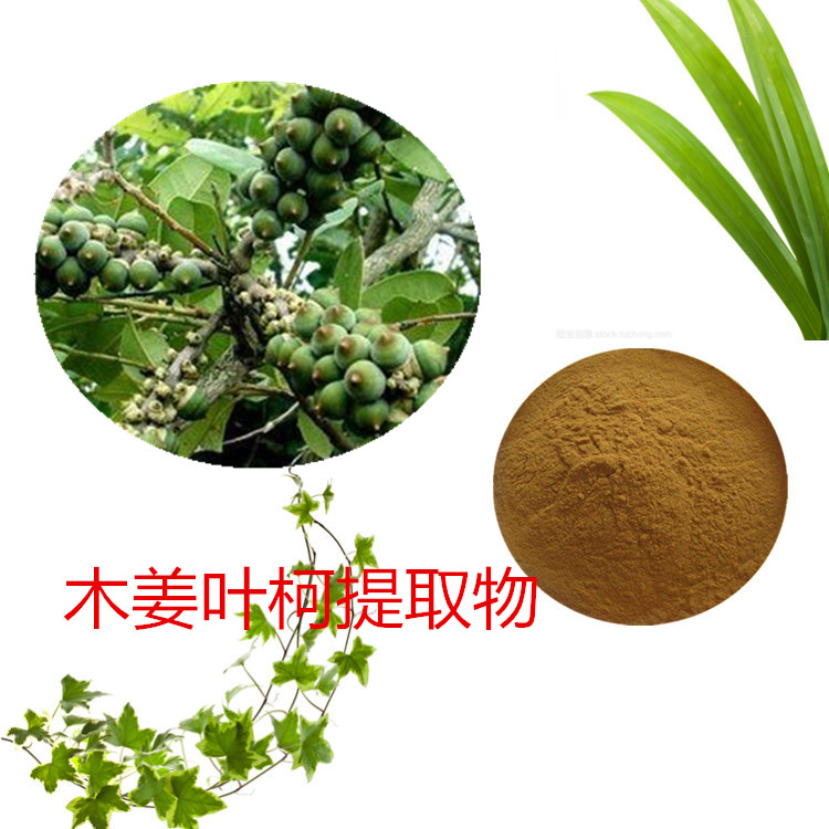 木姜叶柯提取物 10:1 水提 多规格比例 木姜叶柯粉