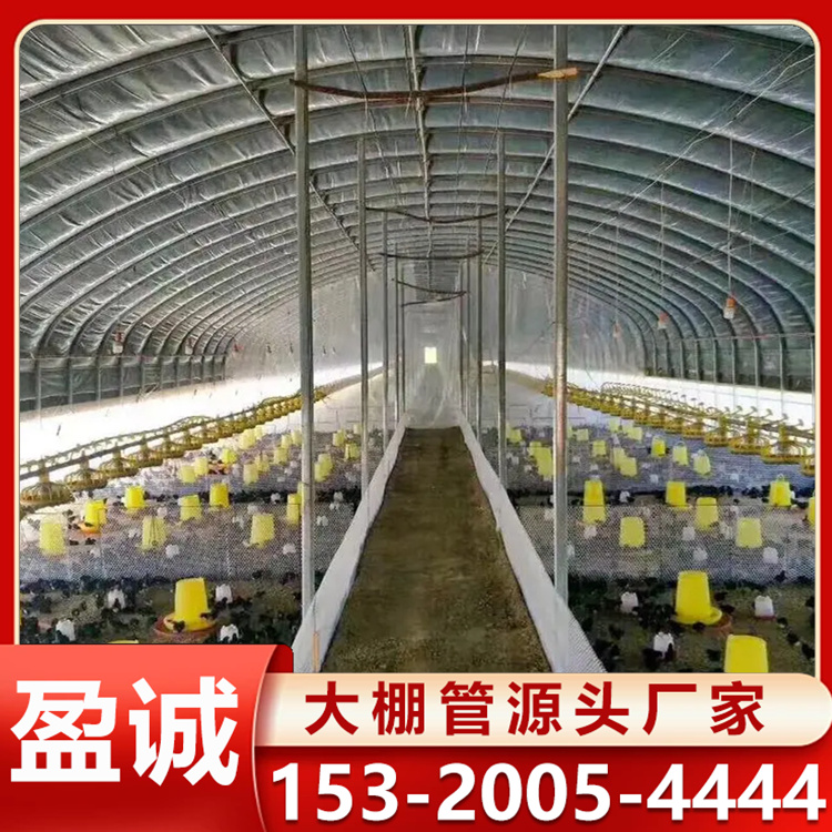 畜牧业养殖棚 养牛棚轻钢骨架 大棚配件一站式供应