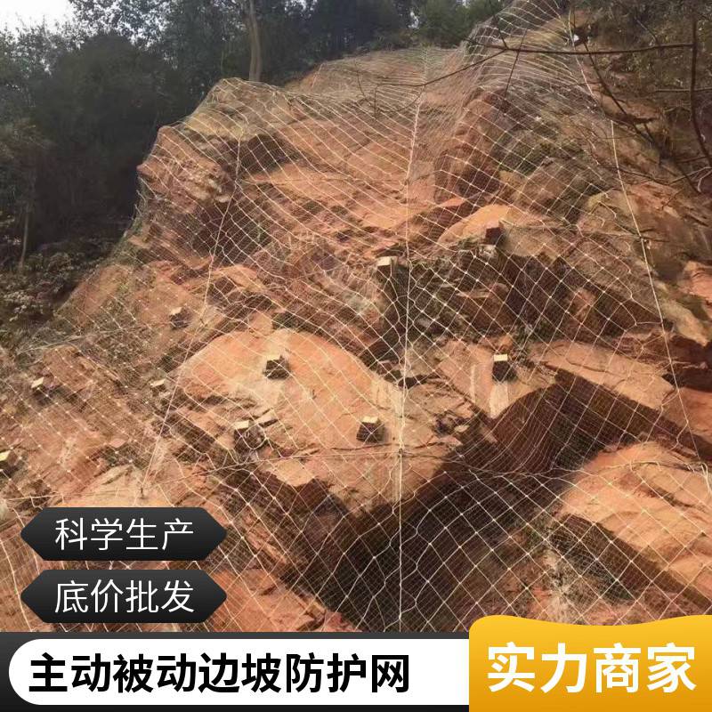 柔性被动边坡防护网 山体滑坡钢丝绳网 防落石拦石网 玖旺定制