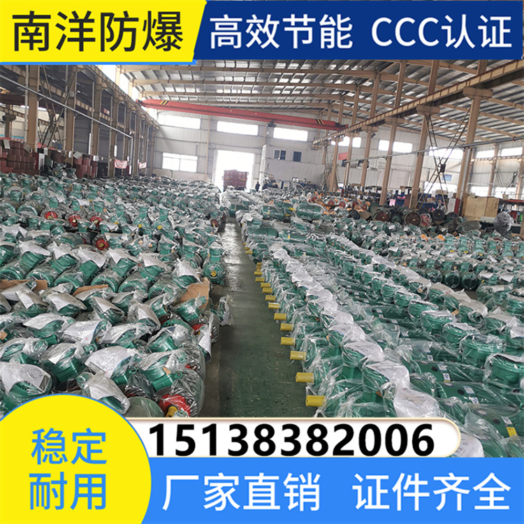 YBX4--BT4防爆电机 高效率隔爆型三相异步电动机 可定制 二级能效