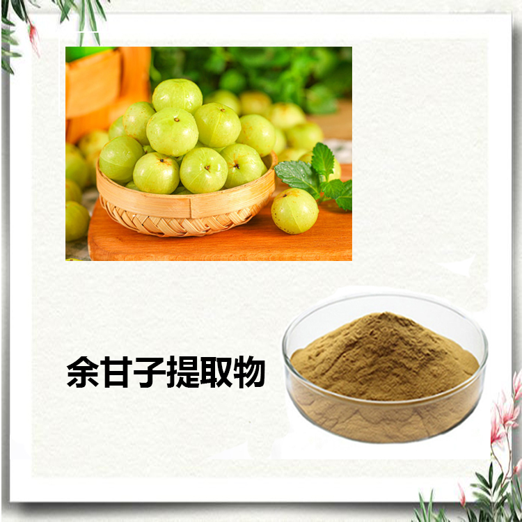 余甘子提取物 10:1 水提 多规格 余甘子多糖 30%