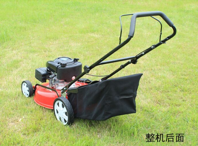 21寸手推式草坪机 手推式割机厂家 小型草坪机出口