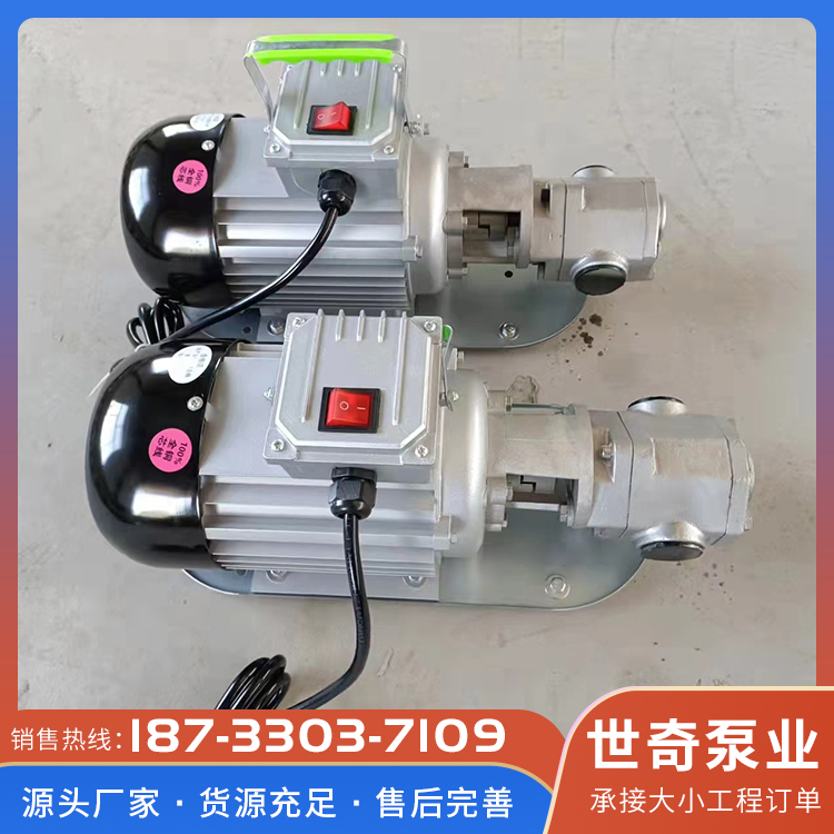 不锈钢齿轮泵厂家直销