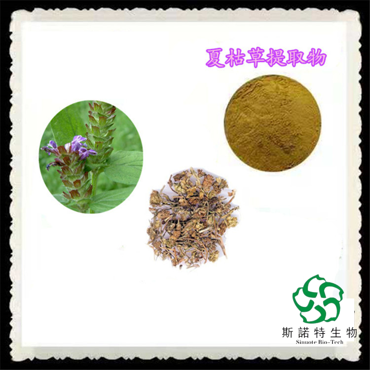 夏枯草提取物 夏枯草粉 功能性食品原料 粉末细腻 资质全