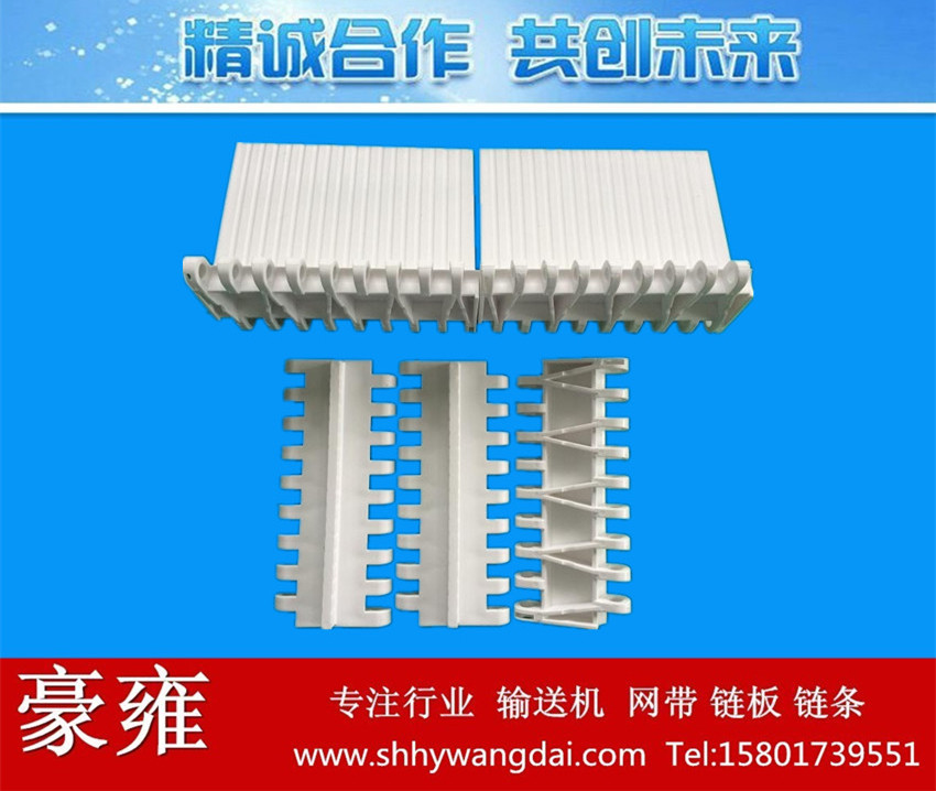 pp链板网带 塑料链条式网带 食品用挡板平板网带 挡块链网PP