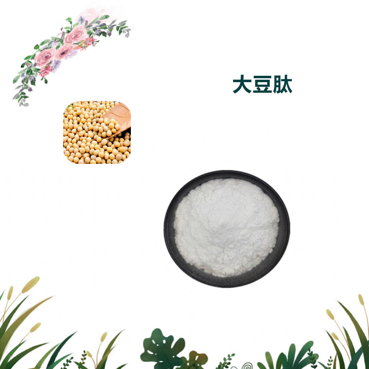 沃特莱斯生物 大豆肽 水溶性粉末 大豆粉 多规格可定制