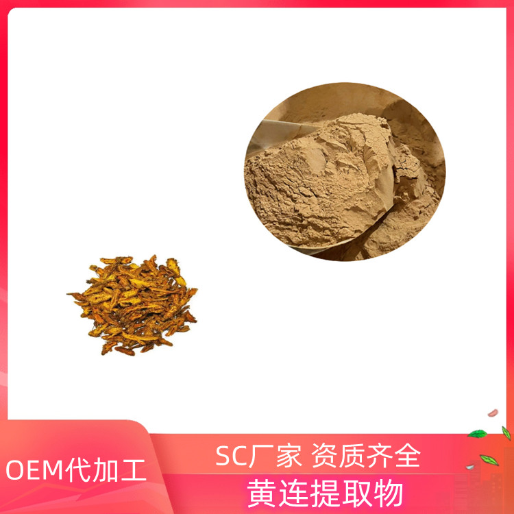 沃特莱斯生物 可水溶 黄连提取物 纸板桶包装 一公斤起订