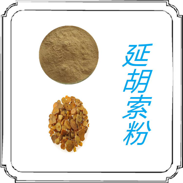 延胡索粉   含多种营养成分   固体饮料   质量稳定  食品级  国标生产