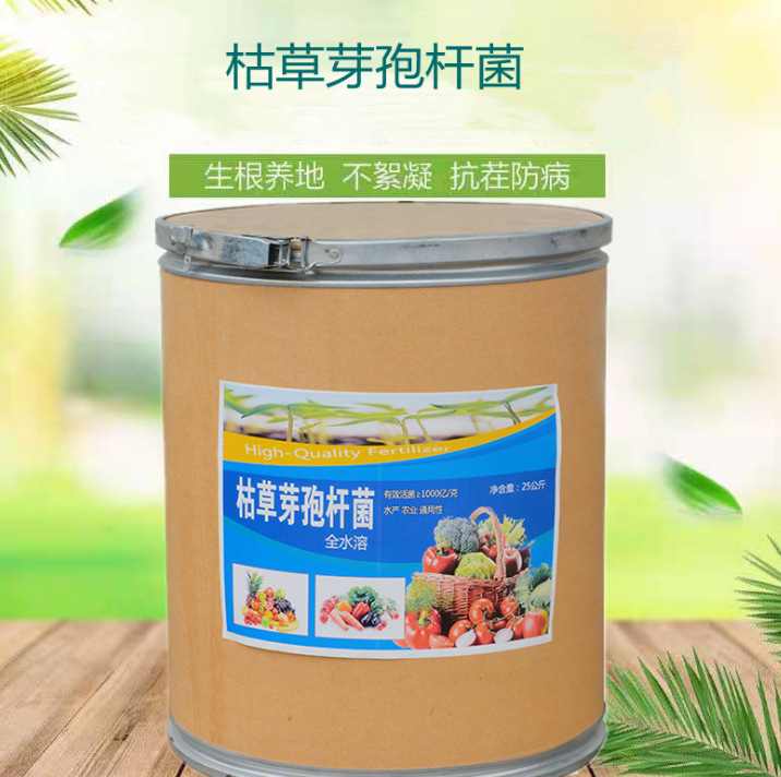枯草芽孢杆菌 专业生产厂家-价格实惠