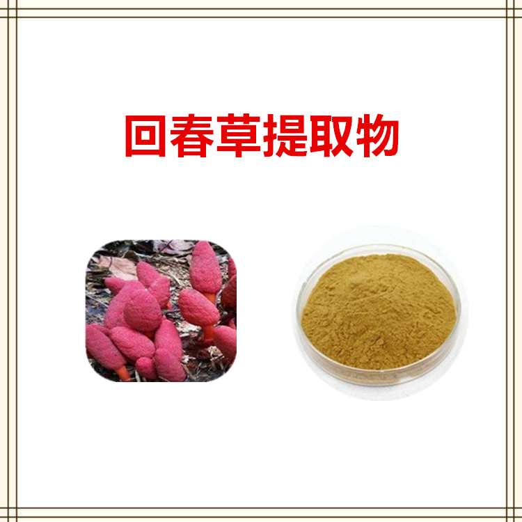 沃特莱斯生物 回春草提取物 速溶粉 喷雾干燥粉 1公斤起订