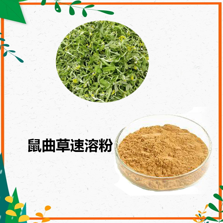 鼠曲草提取物 10：1 水提 多规格比例 鼠曲草浸膏 鼠曲草水溶粉