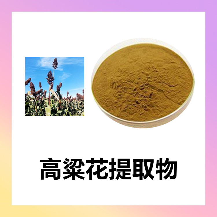 高梁花提取物   植物萃取工艺 粉末细腻 疏松 无肉眼可见杂质