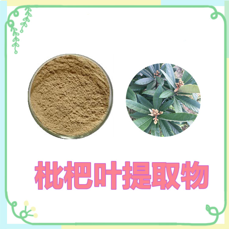 枇杷叶提取物   粉末细腻    质量稳定    植物原料   食品级   无结块