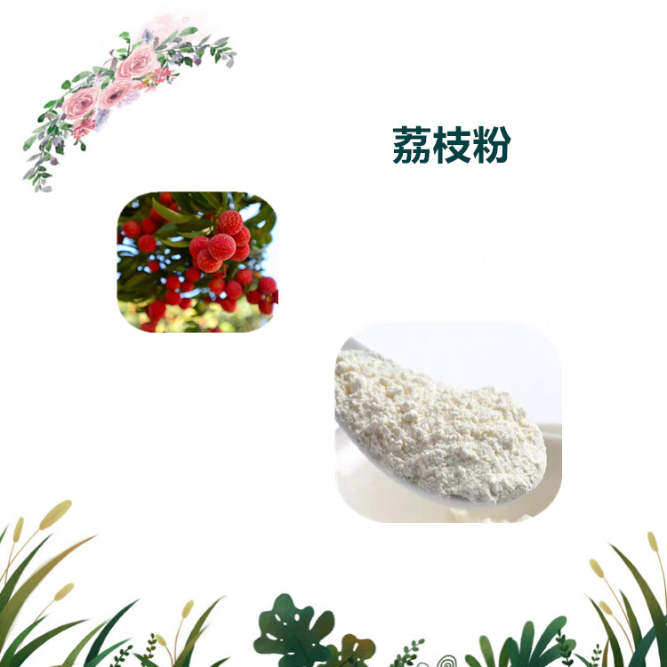 沃特莱斯生物 荔枝粉 荔枝提取物 荔枝原粉 1公斤起订 可寄样