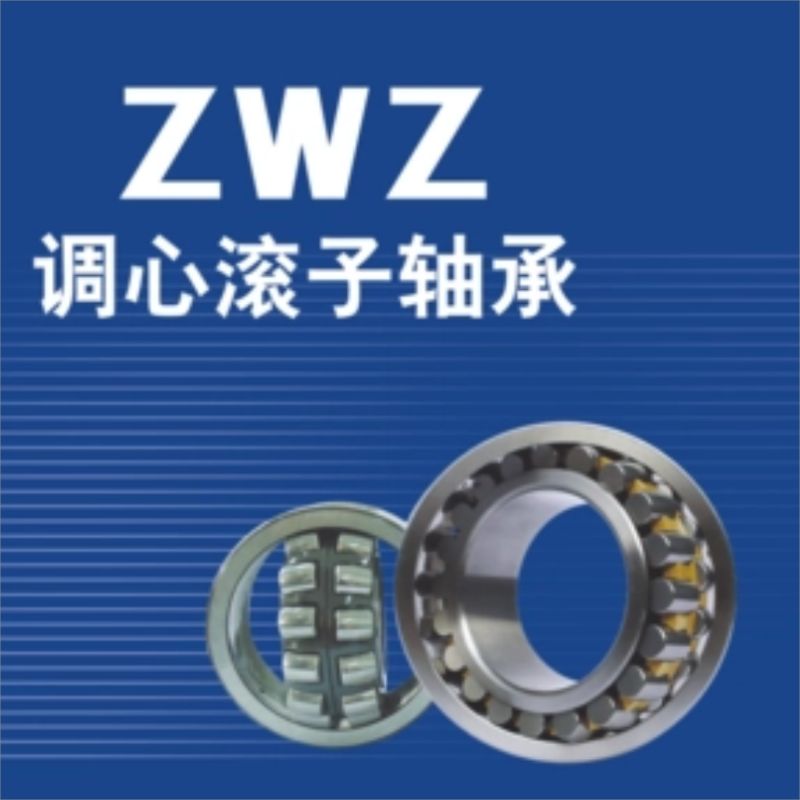 ZWZ轴承3