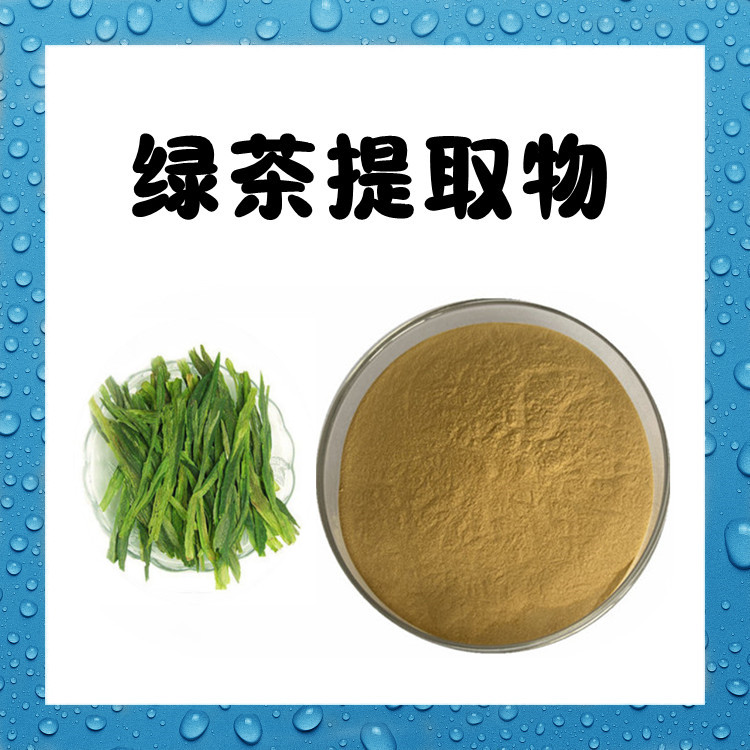 绿茶提取物  六盘韵生物 质量稳定 双层塑料袋 防潮防水 密封保存