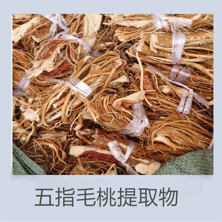 太子参提取物 五指毛桃粉 莱菔子粉 麦芽提取物 提供定制