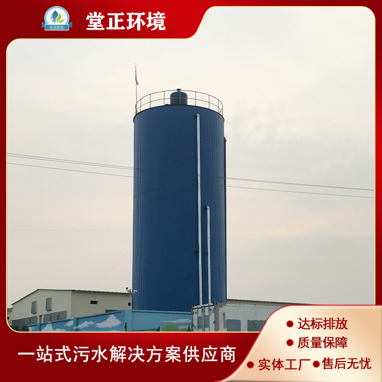 厌氧反应器 污水生化处理设备 UASB厌氧反应器