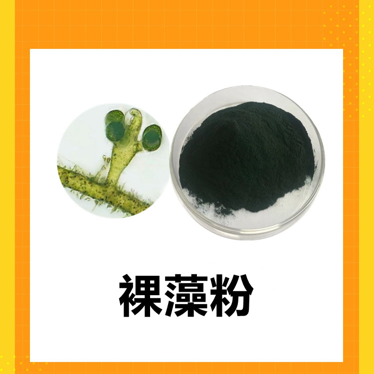 裸藻粉   比例可定制 质量稳定 纸板桶包装 食品原料工厂