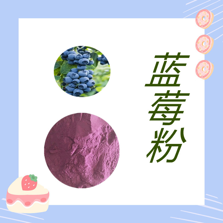 蓝莓粉  富含花青素    全水溶  粉末细腻  质量稳定   国标生产   可寄样