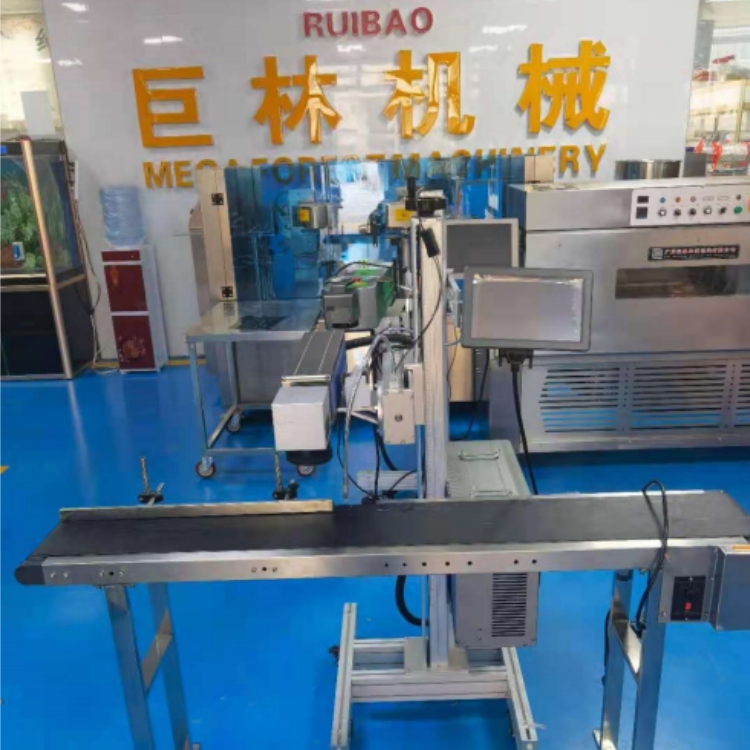 激光喷码机 自动打码机  光迁喷码机