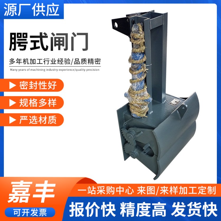 工业用腭式闸门 运行平稳 厂家直供