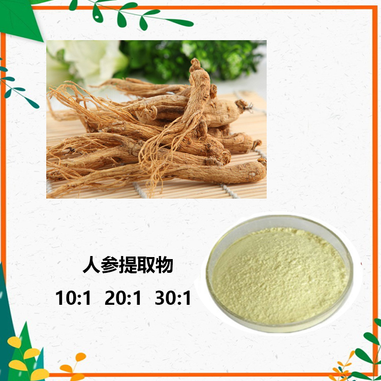 人参提取物 10:1 人参皂苷 80% 人参多糖 人参肽