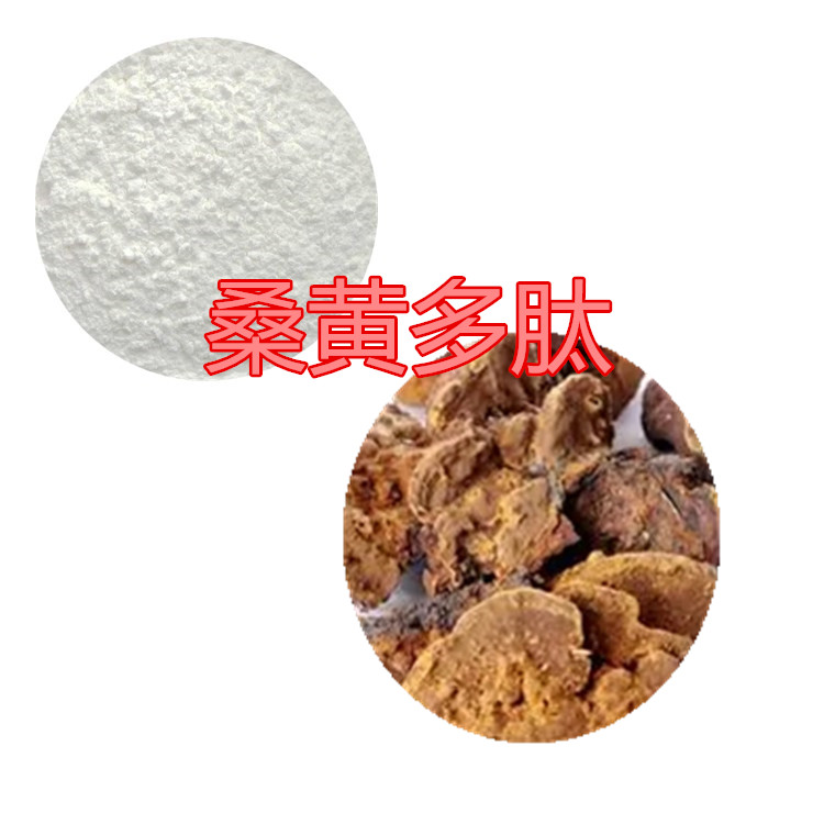 桑黄提取物 10:1 水提 桑黄多糖 30% 桑黄粉 水溶