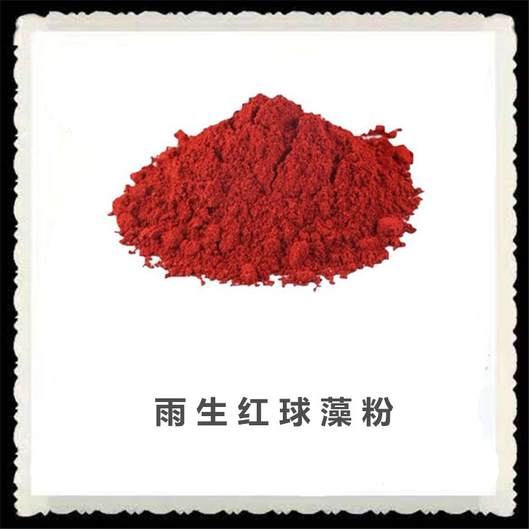 雨生红球藻粉 虾青素含量 支持定制 斯诺特生物 可做压片胶囊