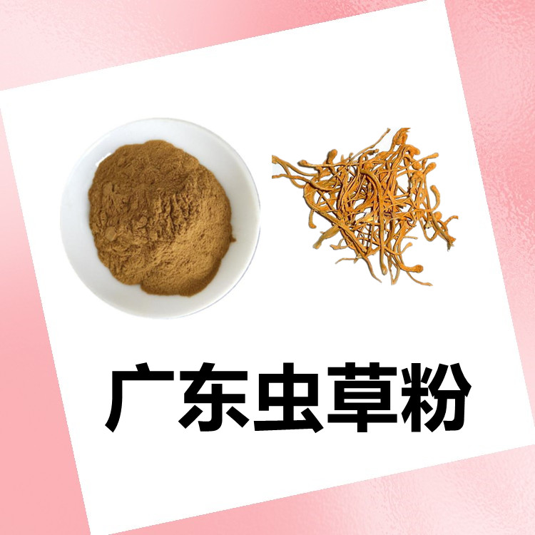 广东虫草子实体粉 比例提取 多规格定制 1kg起订 包邮发货  六盘韵