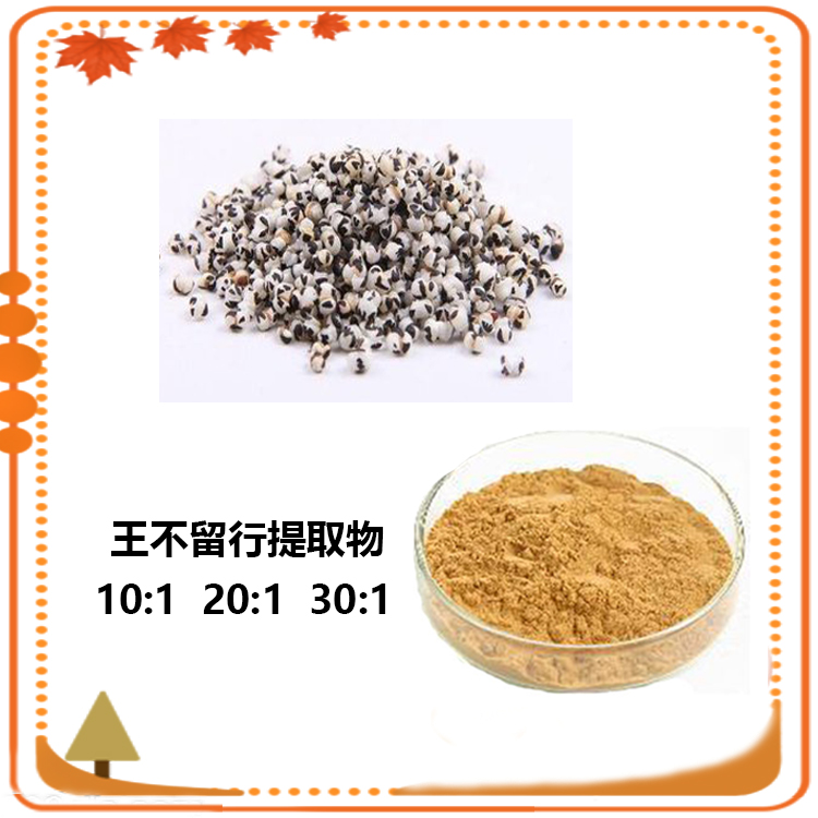王不留行提取物 10:1 水提 王不留行浸膏 王不留行粉
