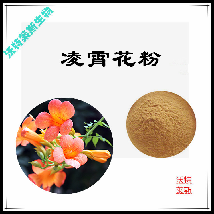 凌霄花提取物 10:1 水提 凌霄花浸膏 凌霄花浓缩粉 凌霄花粉