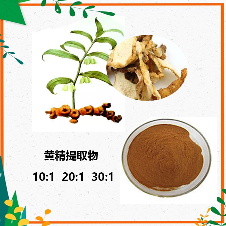 黄精提取物 10:1 水提 黄精粉 黄精多糖 30% 50%